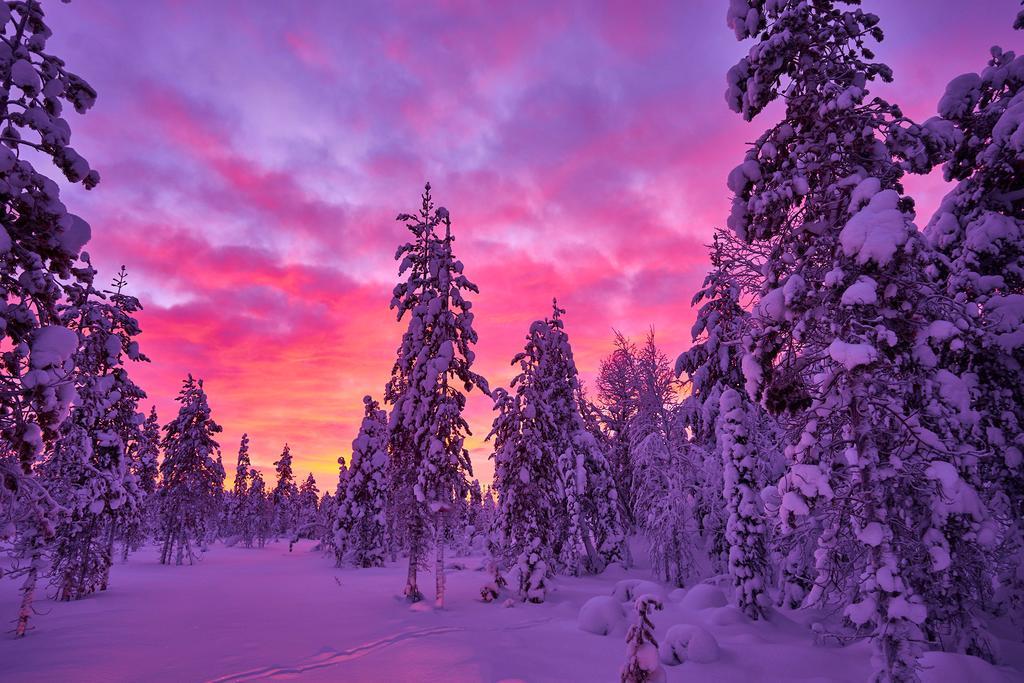 Lapland Guesthouse Kangos Zewnętrze zdjęcie