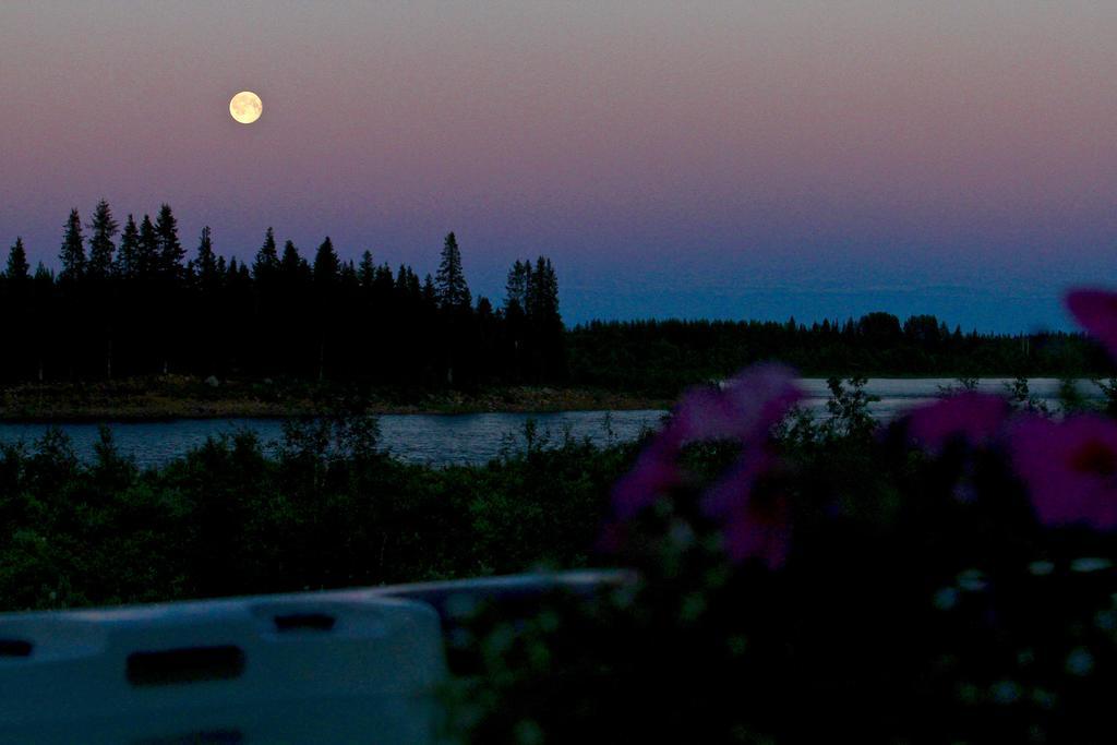 Lapland Guesthouse Kangos Zewnętrze zdjęcie
